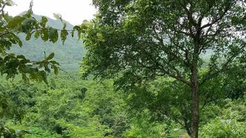 Superior Double Room | Blackout curtains