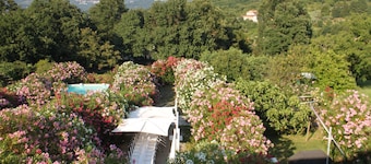 Amata Valgre