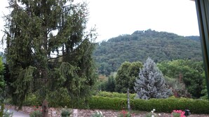 Vista de un jardín con un árbol grande, un muro de piedra y una colina al fondo.