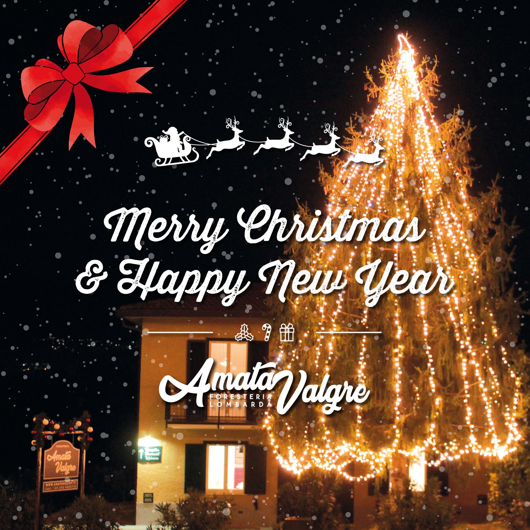 A Christmas tree with lights, a red bow, and a sign for Amata Valgre hotel.