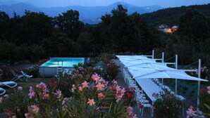 Un área de piscina al aire libre con sillones de descanso y sombrillas, rodeada de plantas y árboles florecientes.