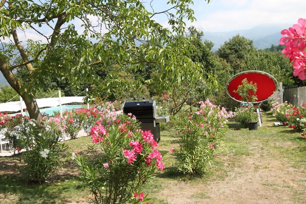 Un jardín con diversas plantas y una parrilla para barbacoa.