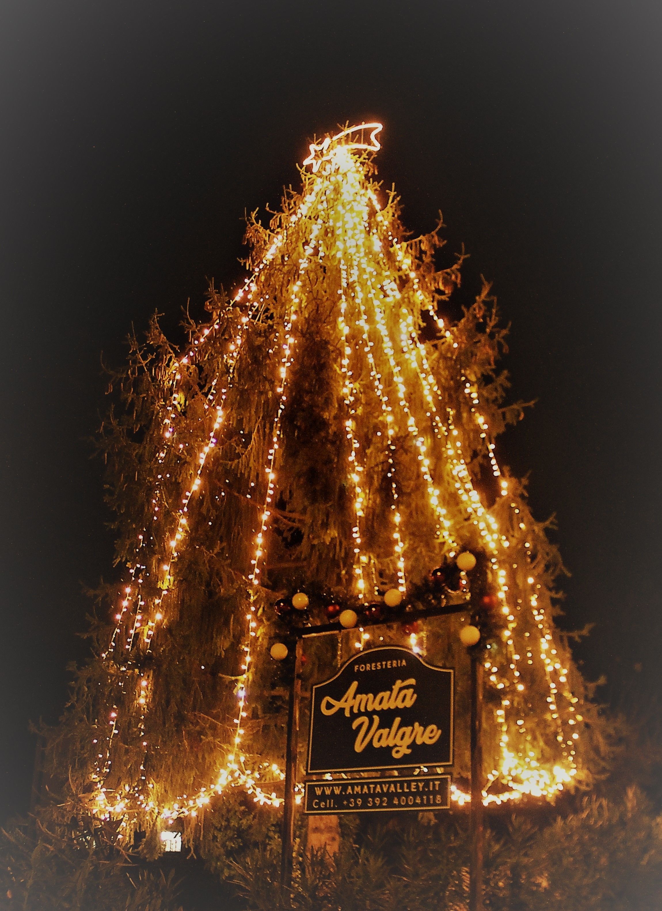 A Christmas tree adorned with lights and ornaments, with a sign reading "Amata Valgre."
