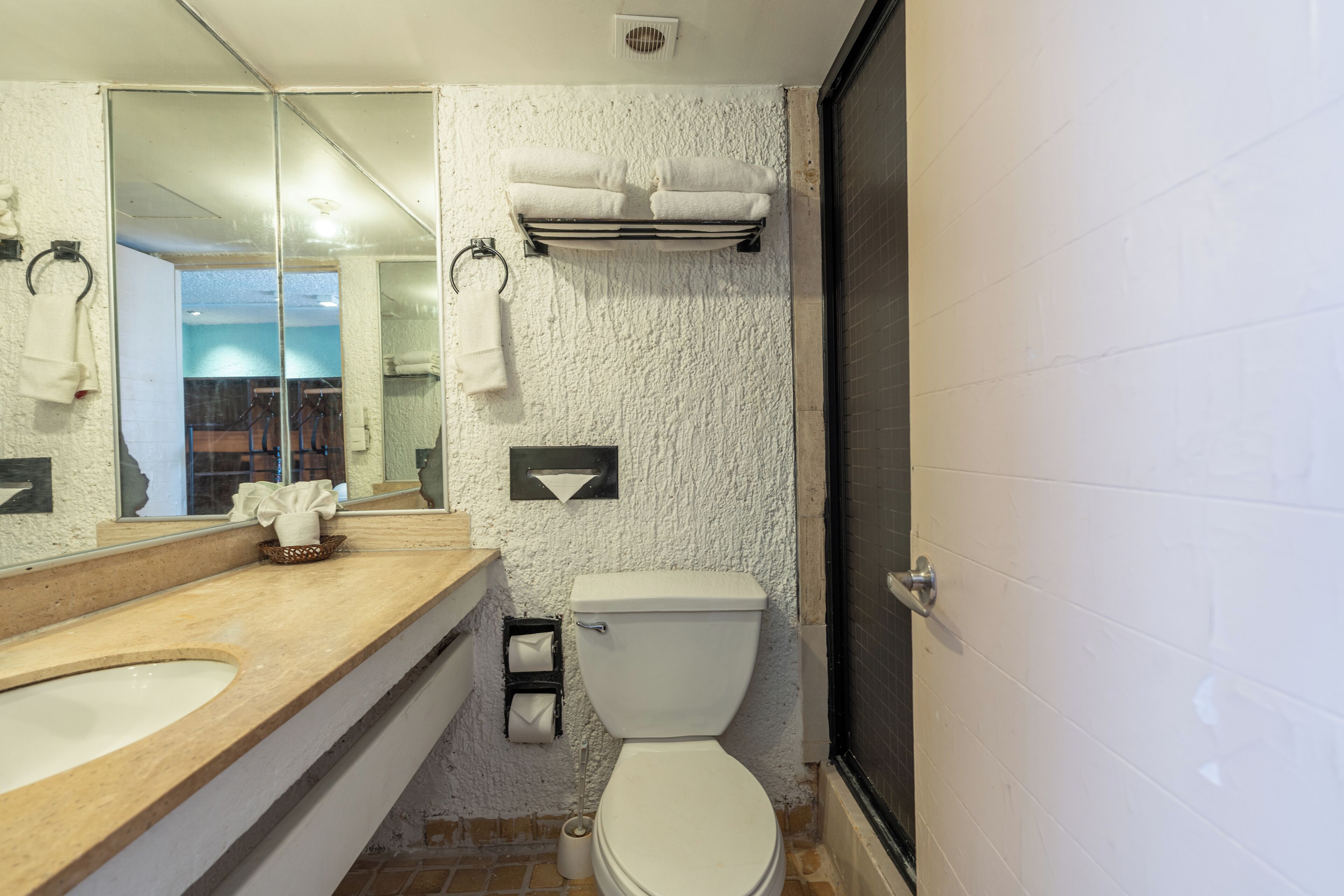 A bathroom with a beige countertop, a white toilet, a towel rack, and a mirror.