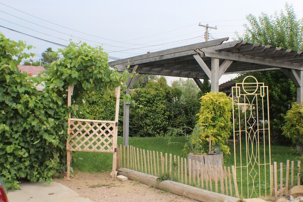 Vườn