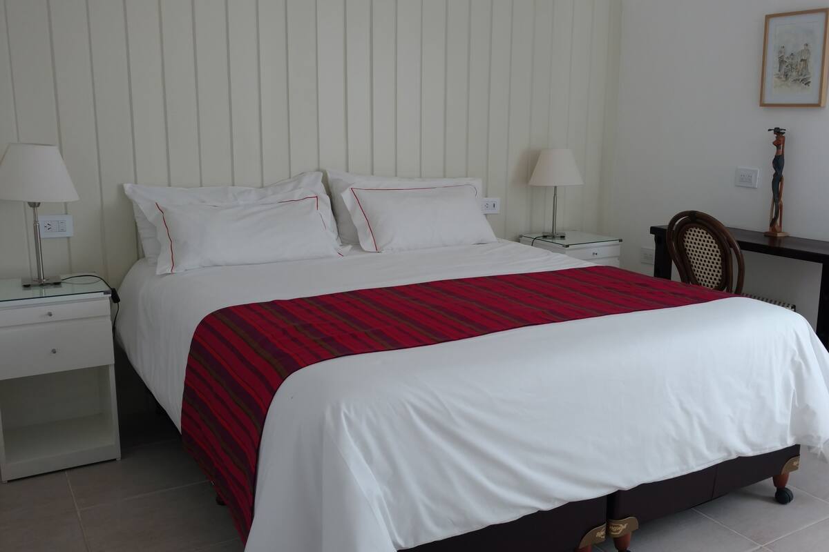 Standard Apartment, 1 King Bed with Sofa bed, Private Bathroom | Frette Italian sheets, premium bedding, down comforters, pillowtop beds
