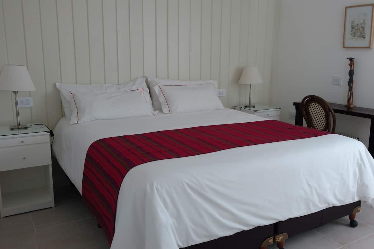 Standard Apartment, 1 King Bed with Sofa bed, Private Bathroom | Frette Italian sheets, premium bedding, down comforters, pillowtop beds