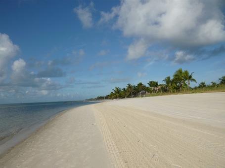 Beach nearby, beach towels. Key West Condo close to the Ocean. 1 mile to Smathers & 3 miles to Duval St.