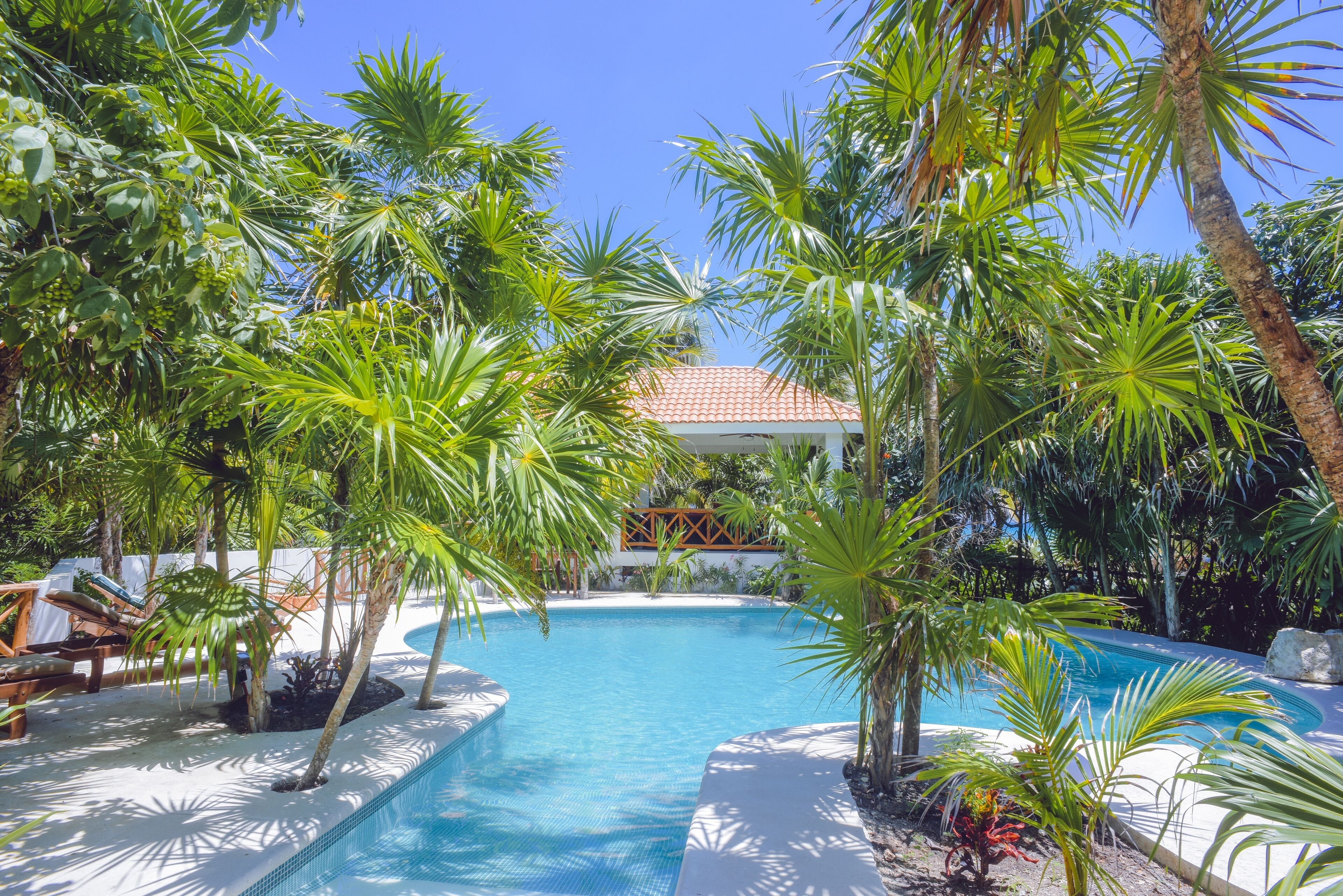 A pool surrounded by palm trees and lounge chairs.