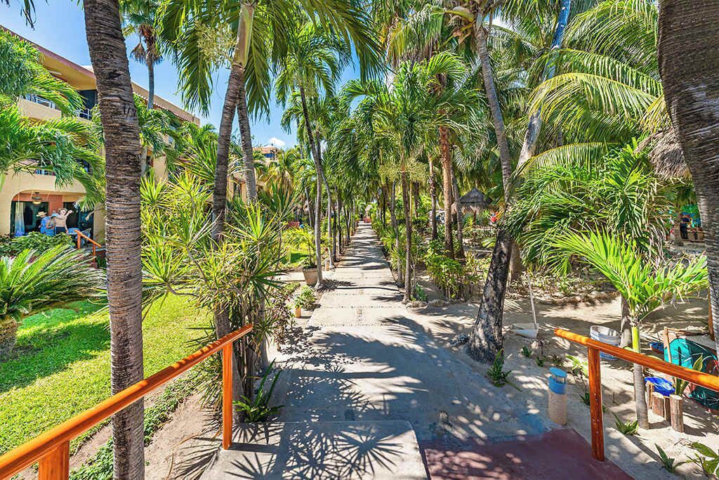 Áreas de la propiedad