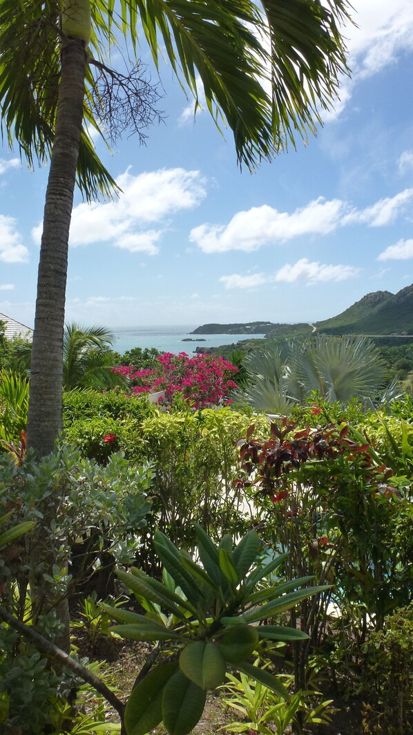 Property grounds - Fabulous Sea and Harbor Views and on a clear morning You can see Guadaloupe (Falmouth)
