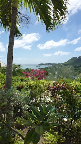 Fabulous Sea and Harbor Views and on a clear morning You can see Guadaloupe 