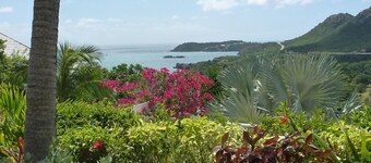 Fabulous Sea and Harbor Views and on a clear morning You can see Guadaloupe 