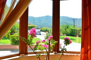 A window with a view of a green landscape and mountains.