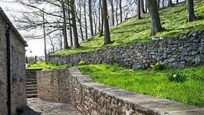 A stone wall with a grassy area and trees. - Luxurious Converted Bothy/Barn In an Idyllic Setting (West Burton)