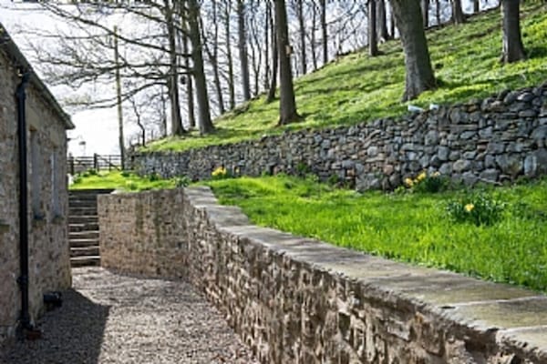 Área da propriedade