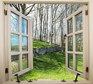 Enjoy unobstructed views of the surrounding landscape from this room's open window.