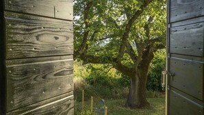 Une structure en bois, avec un grand arbre en arrière-plan.