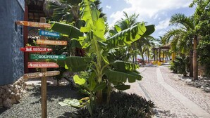 Un resort tropical con un cartel que indica servicios como un bar en la playa, club infantil, club de golf, tienda de buceo y playa, y restaurante.