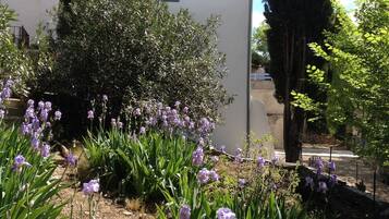 Área da propriedade