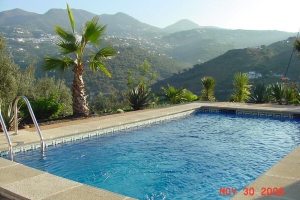 Pool-Palmen in herrlicher Gebirgslandschaft