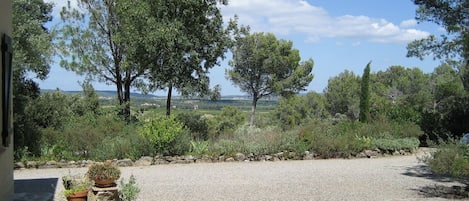 A gravel driveway leading to a house with a stone patio, surrounded by trees and a clear sky.