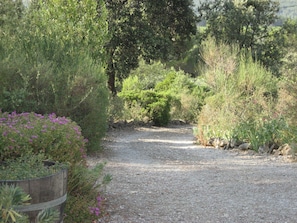 Jardines del alojamiento