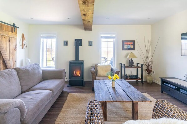 Smart TV, fireplace, video games, DVD player