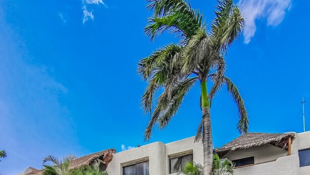 Un complejo turístico con varias construcciones, edificaciones de techo de paja y palmeras.
