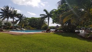 Un área de piscina con sillas de descanso y palmeras.