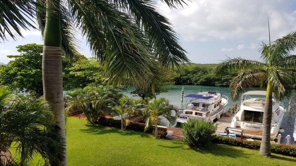 A boat docked at a marina surrounded by lush greenery and a clear blue sky.