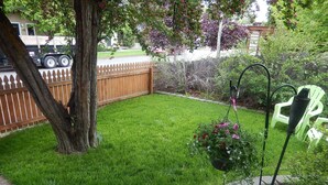 Ein Garten mit Baum, hängendem Blumentopf, grünem Stuhl und Holzpforte.