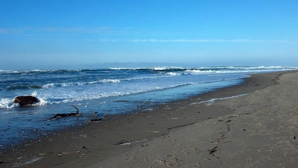 Une plage où les vagues se brisent sur le rivage, un ciel dégagé et une plage de sable où l’on peut voir des empreintes de pas.