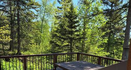 Lutsen Little Bear Lodge - Secluded Lutsen Mountain Cabin With Superior View