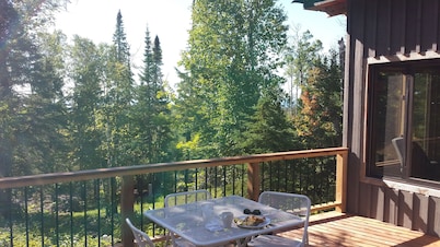Lutsen Little Bear Lodge - Secluded Lutsen Mountain Cabin With Superior View