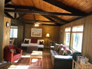 Smart TV, fireplace, video games, DVD player