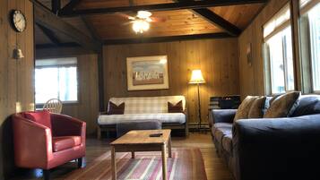 TV connectée, cheminée, jeux vidéo, lecteur de DVD