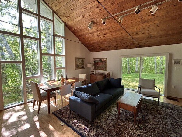 TV, fireplace, books