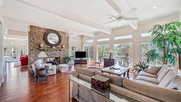 Smart TV, chimenea, reproductor de DVD, libros