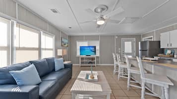 TV, DVD player, books, music library