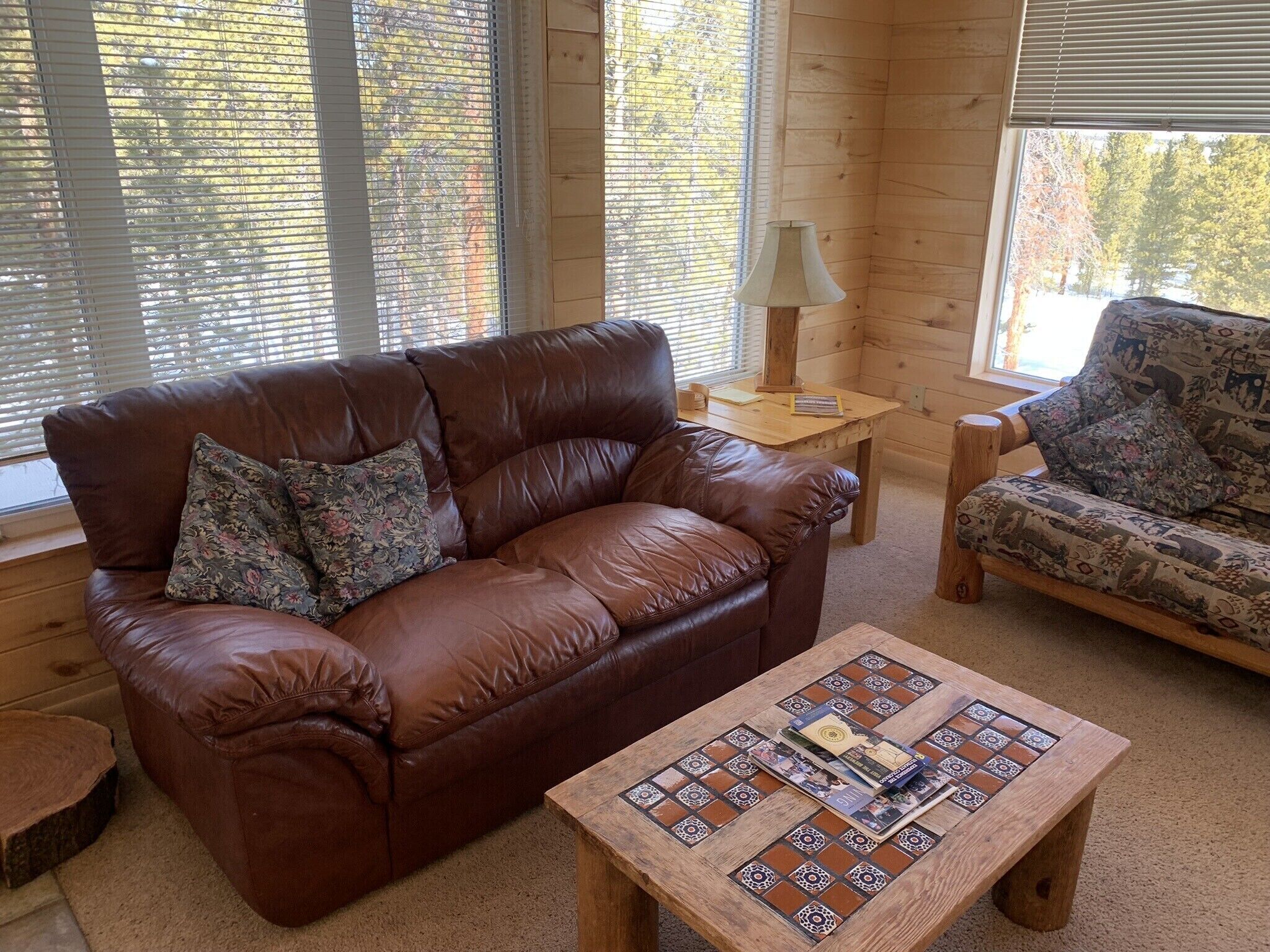 TV, fireplace, DVD player, ping pong