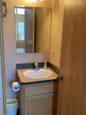 Hair dryer, towels, shampoo, toilet paper