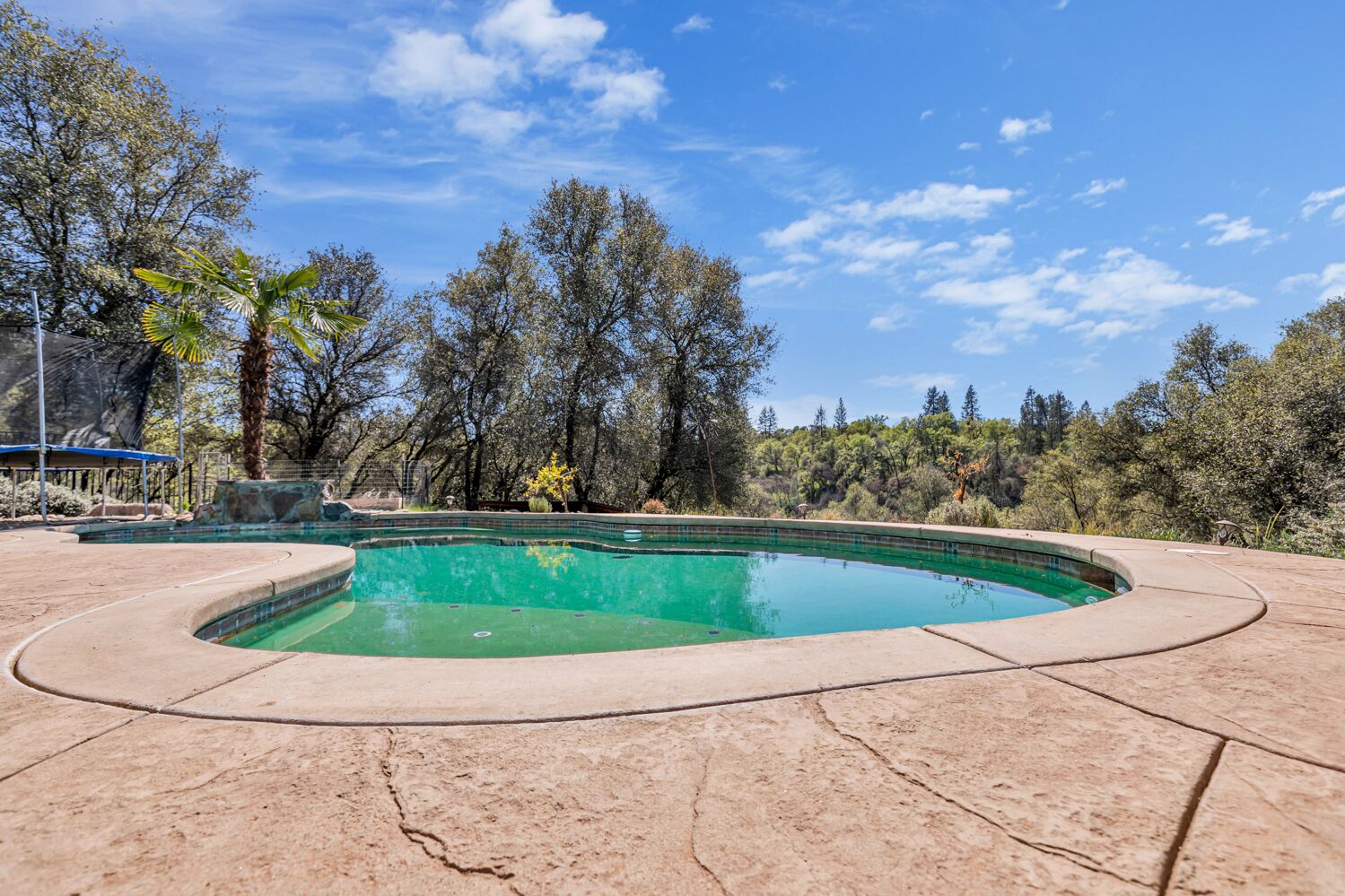 Una piscina con bordo curvo, circondata da un solarium in pietra e alberi.
