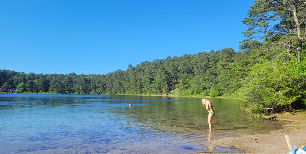 Beach nearby, sun-loungers