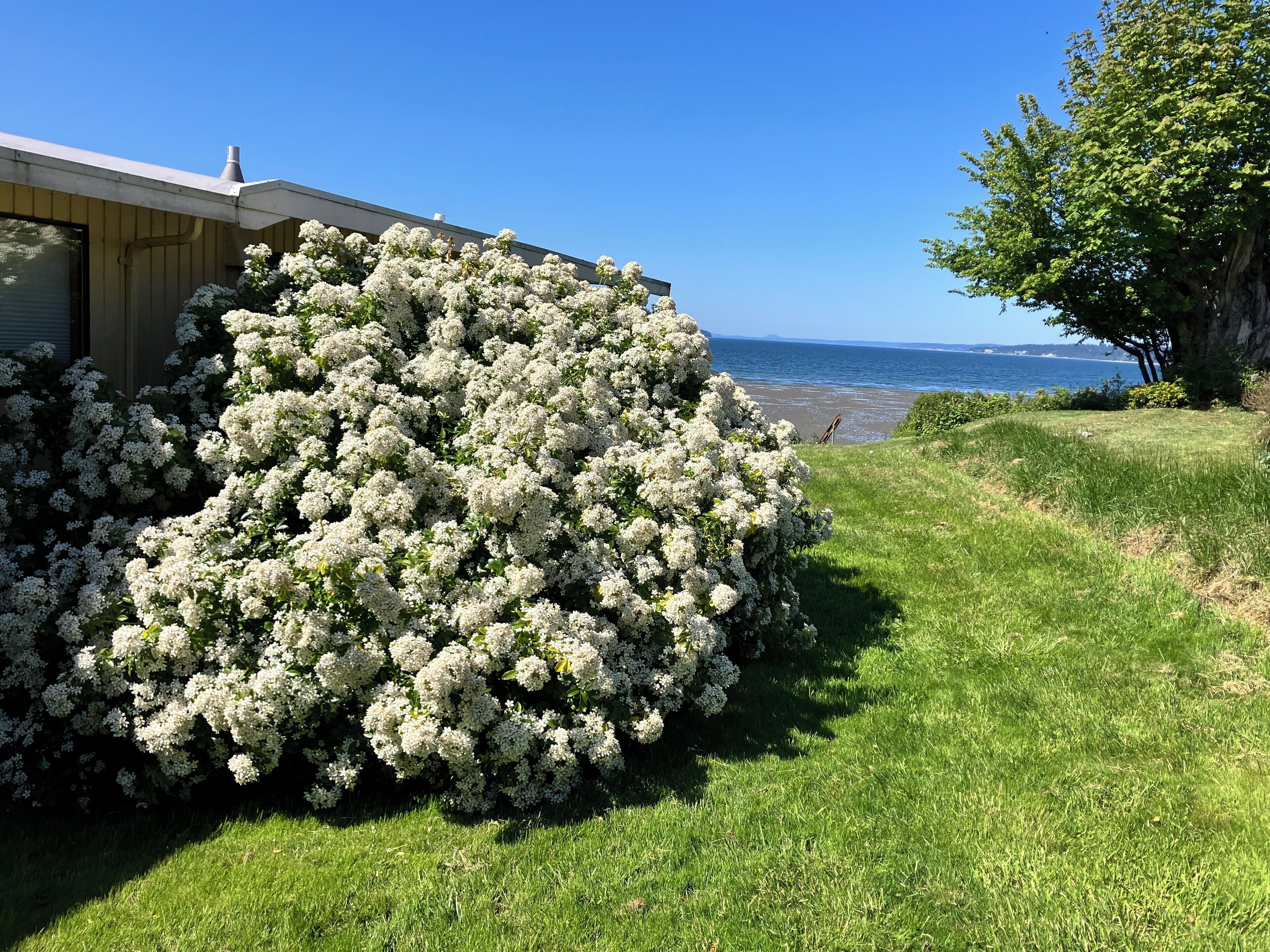 Terrain de l’hébergement 