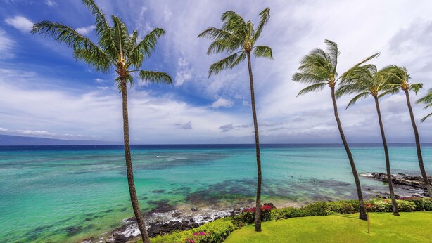 Una playa tropical con palmeras y agua turquesa cristalina.