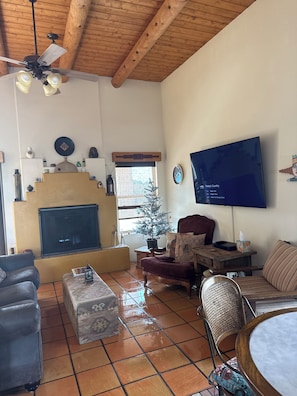Smart TV, fireplace, books, music library