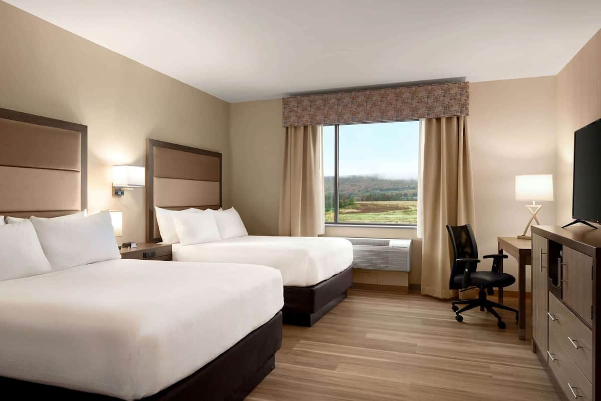Hypo-allergenic bedding, in-room safe, desk, laptop workspace