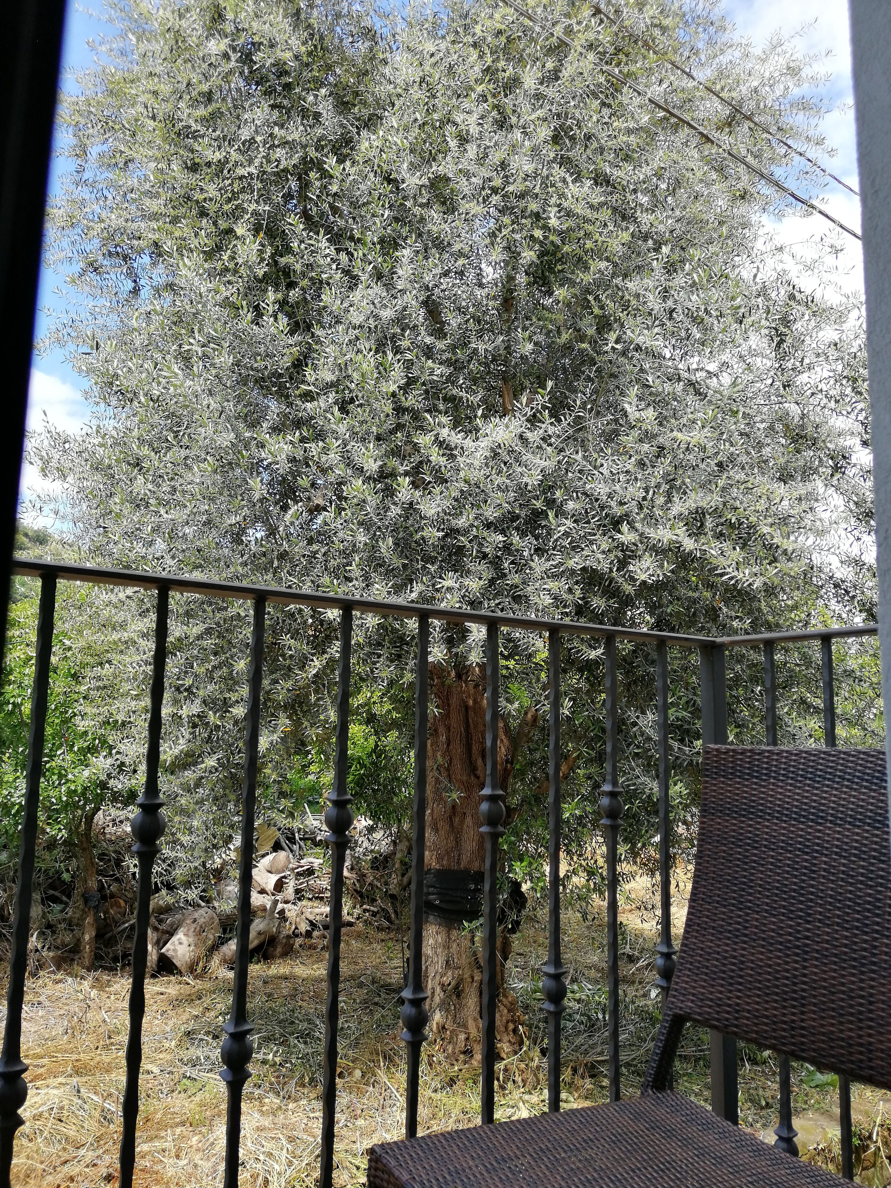 Foto - B&B Mario Relais