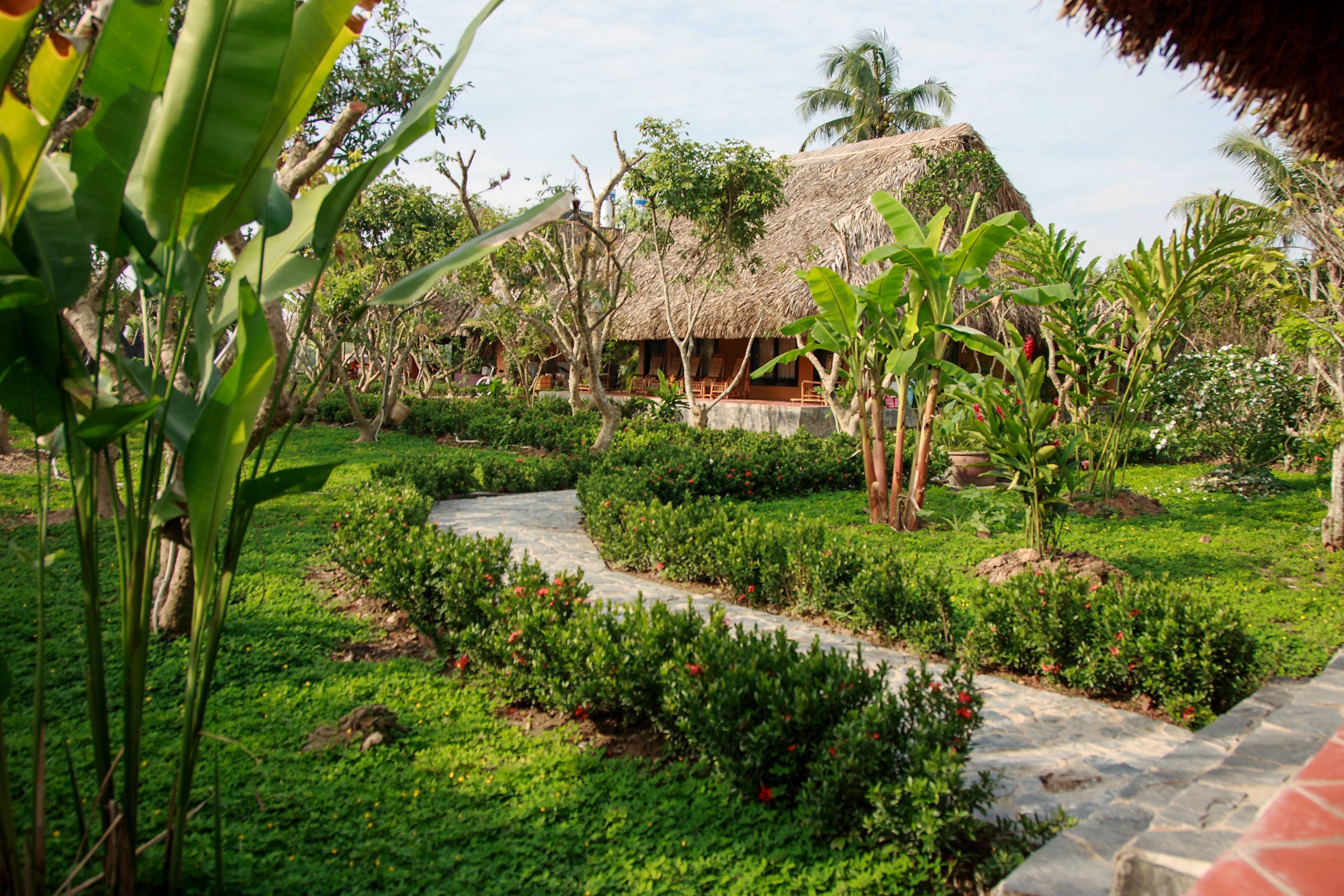 Pemandangan taman